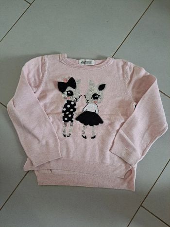Pull 2/4 ans