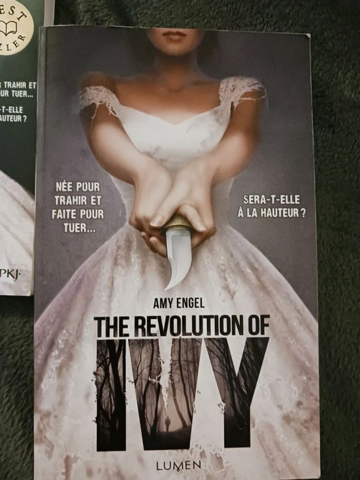 Duologie "The book of Ivy" - photo numéro 3