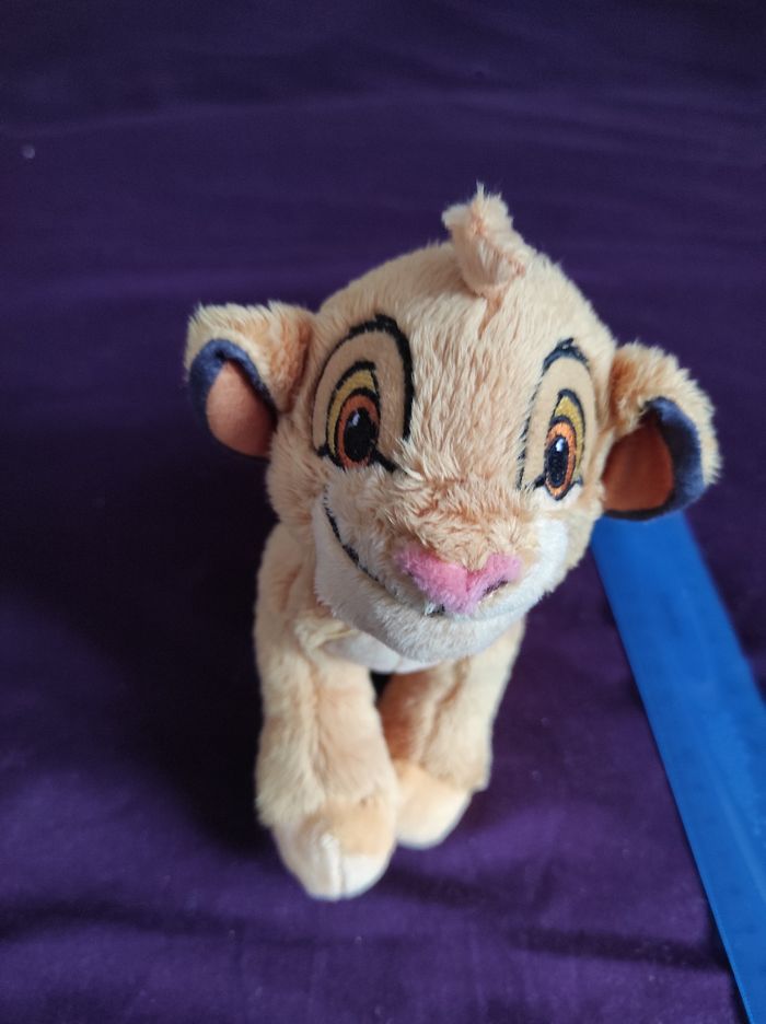Lionceau du roi lion