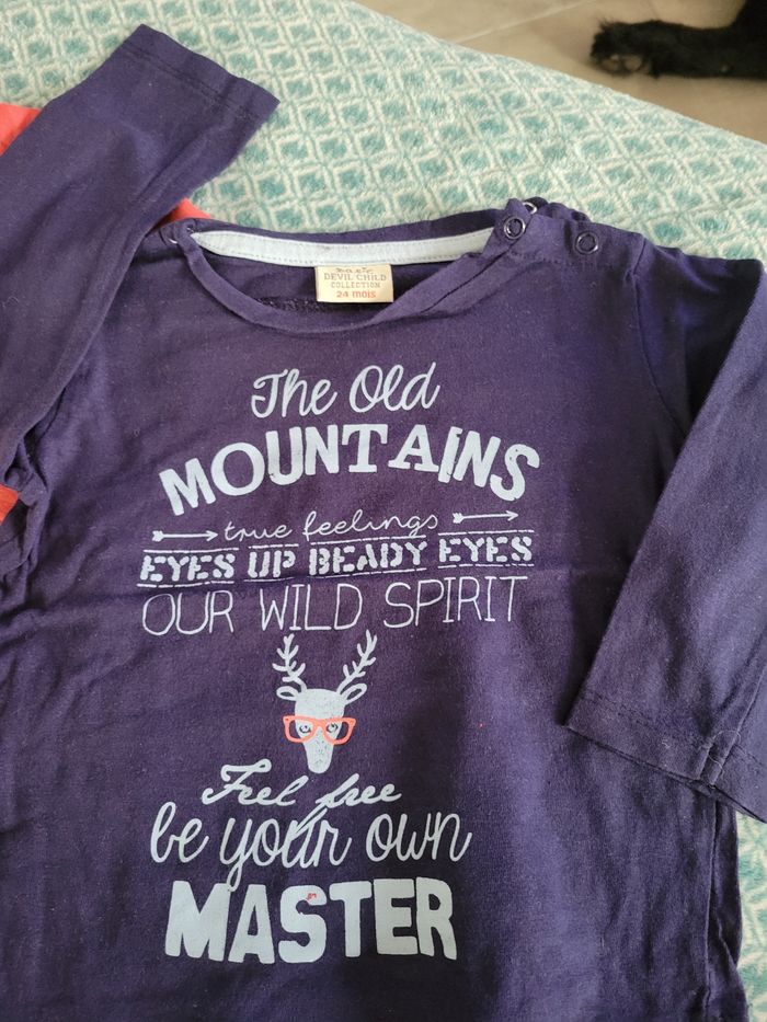 Lot 2 T-shirts manches longues 24mois - photo numéro 2