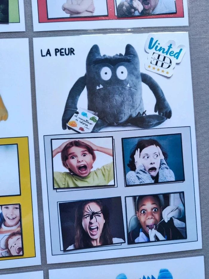Reconnaître les émotions, la couleur des émotion Montessori - photo numéro 5