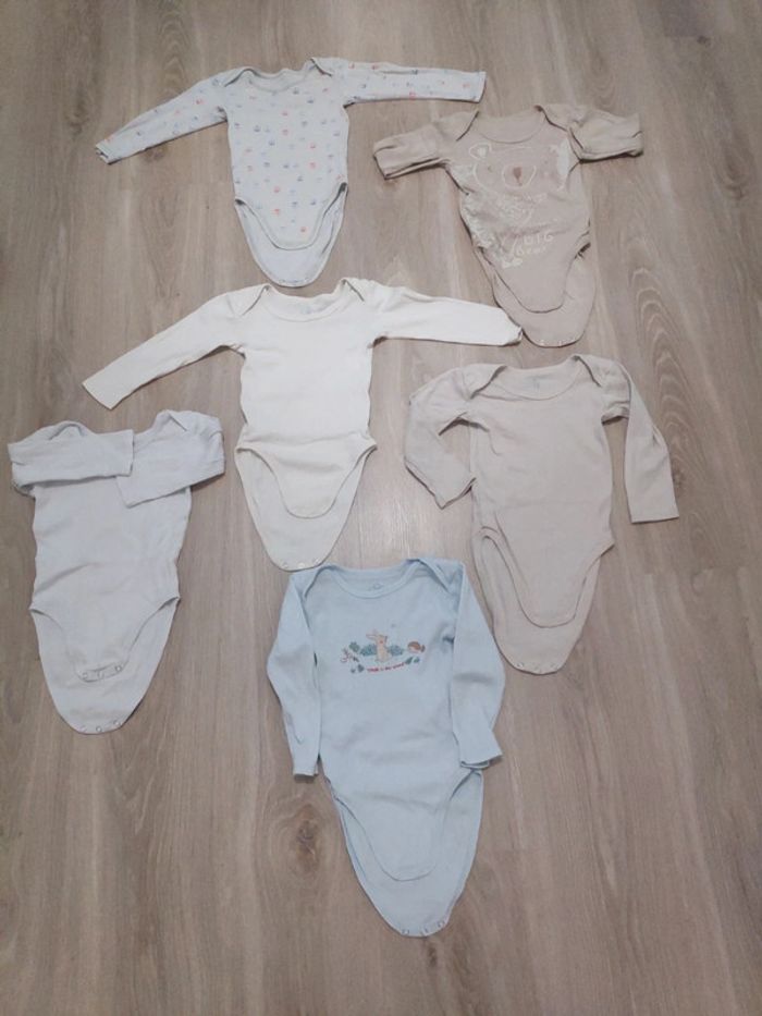 Bodies