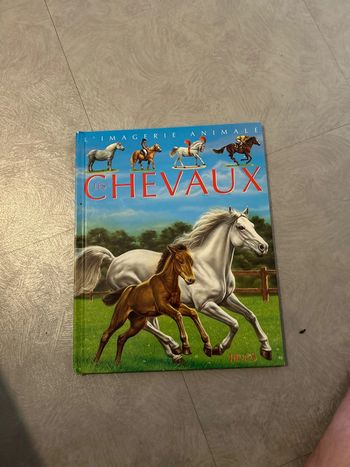 L’imagerie des chevaux