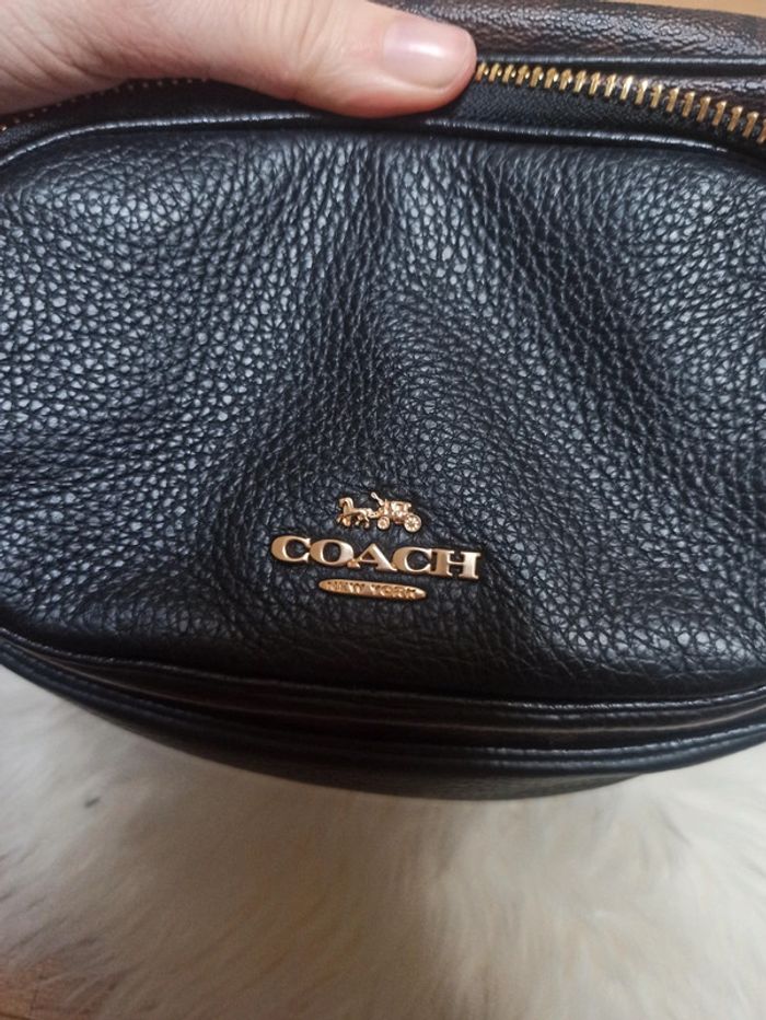 Banane coach - photo numéro 7