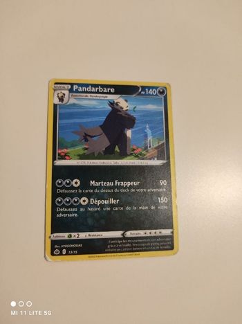 Carte pokemon