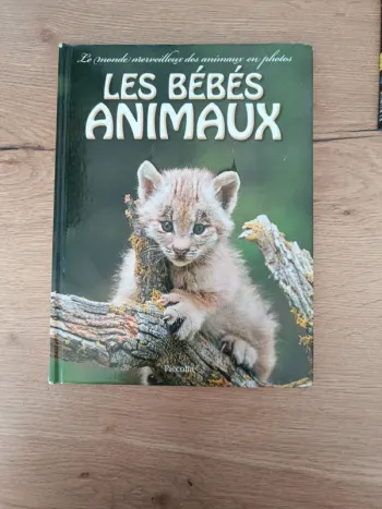 Les bébés animaux