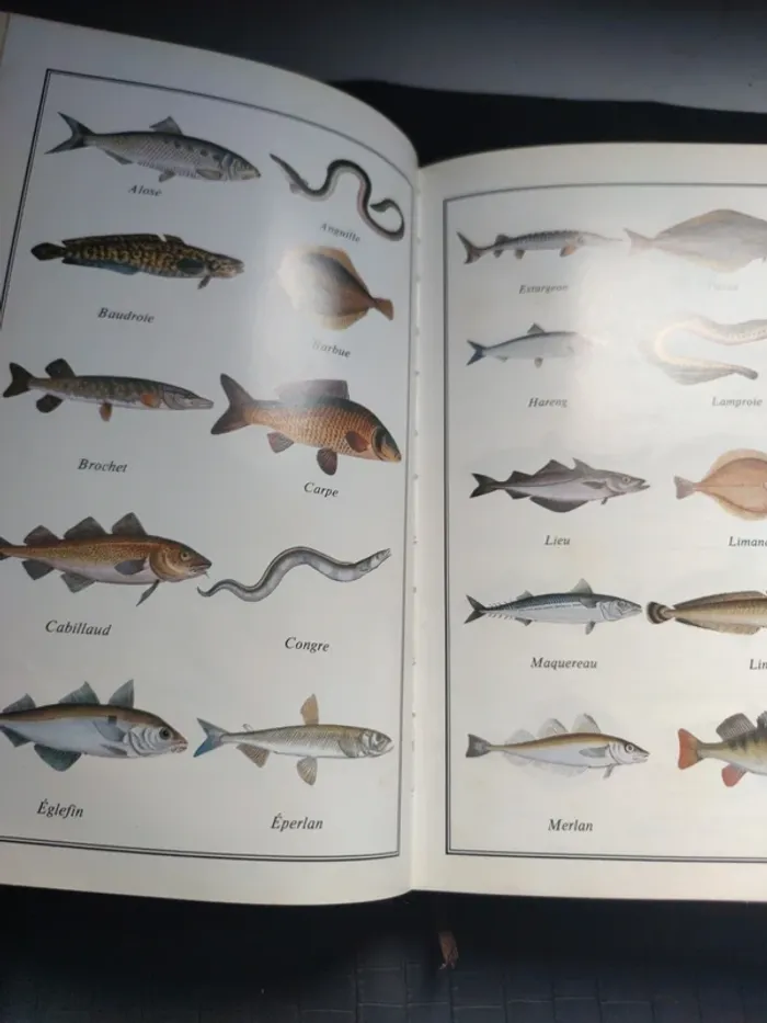 Livre de cuisine les bonnes recettes du poissonnier - photo numéro 8
