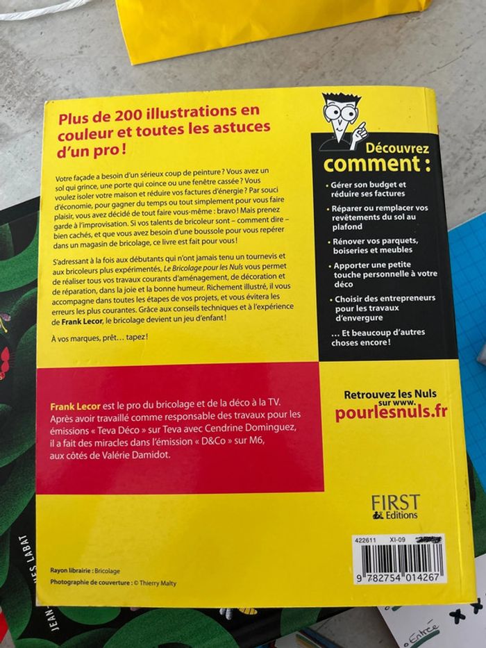 Livre bricolage pour les nuls - photo numéro 3