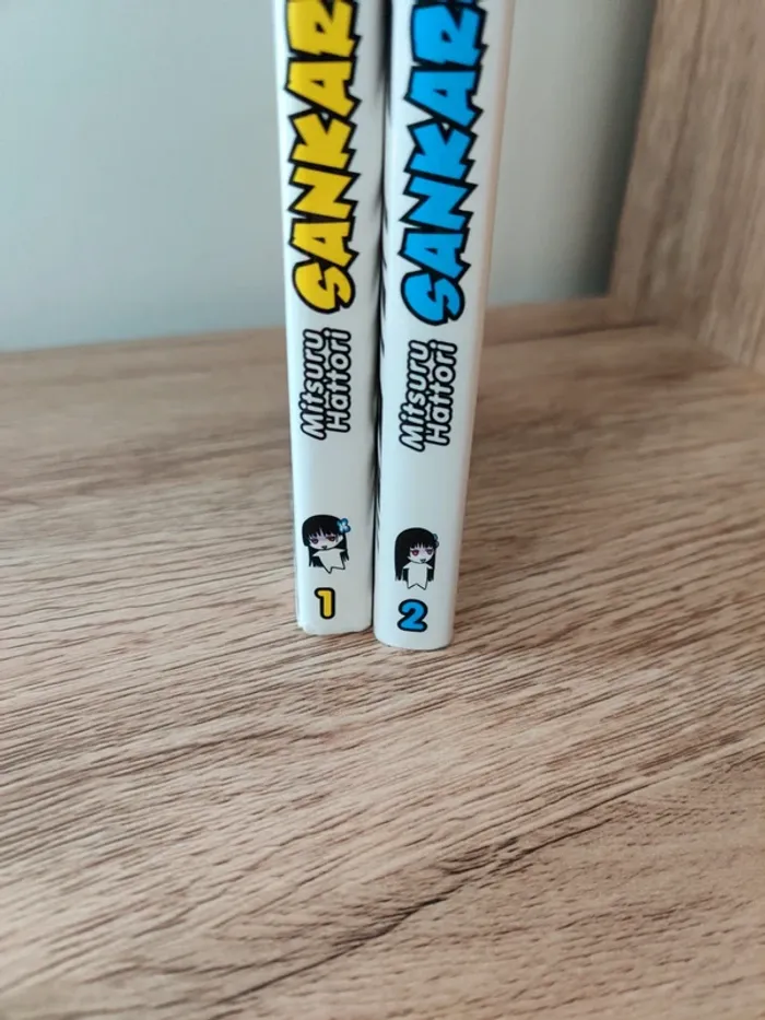 Mangas Sankarea tomes 1 et 2 - photo numéro 4