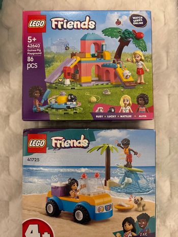 Lot de 2 legos friends