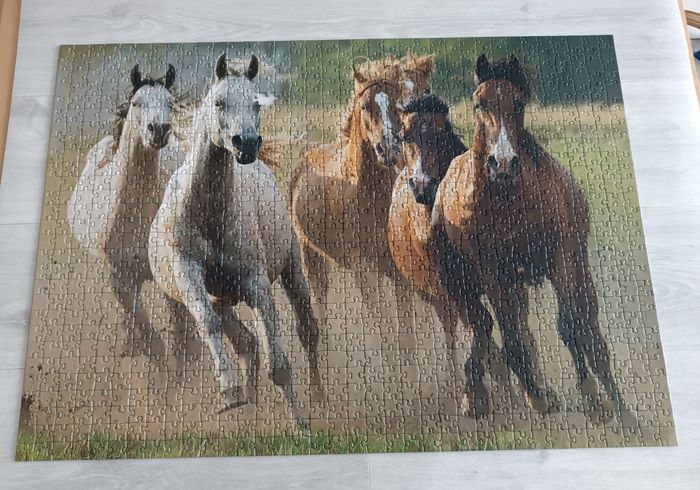 Puzzle chevaux 1000 pièces - photo numéro 2