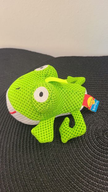 Animaux eponge grenouille