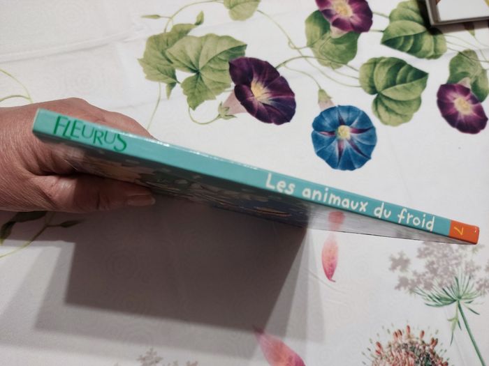 Les animaux du froid - photo numéro 3