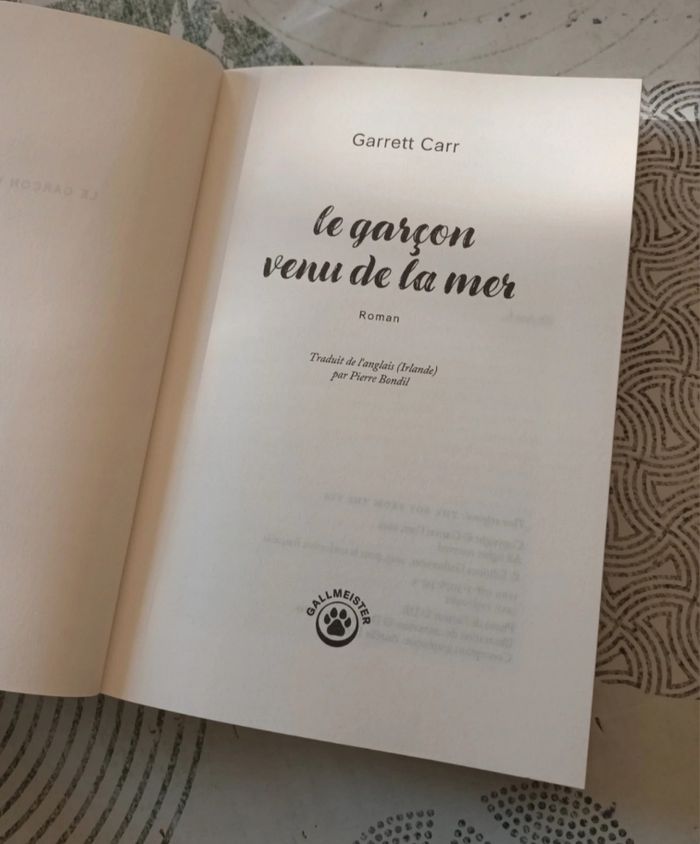 Livre " Le Garçon Venu De La Mer " de Garrett Carr 🌞🌊 - photo numéro 2