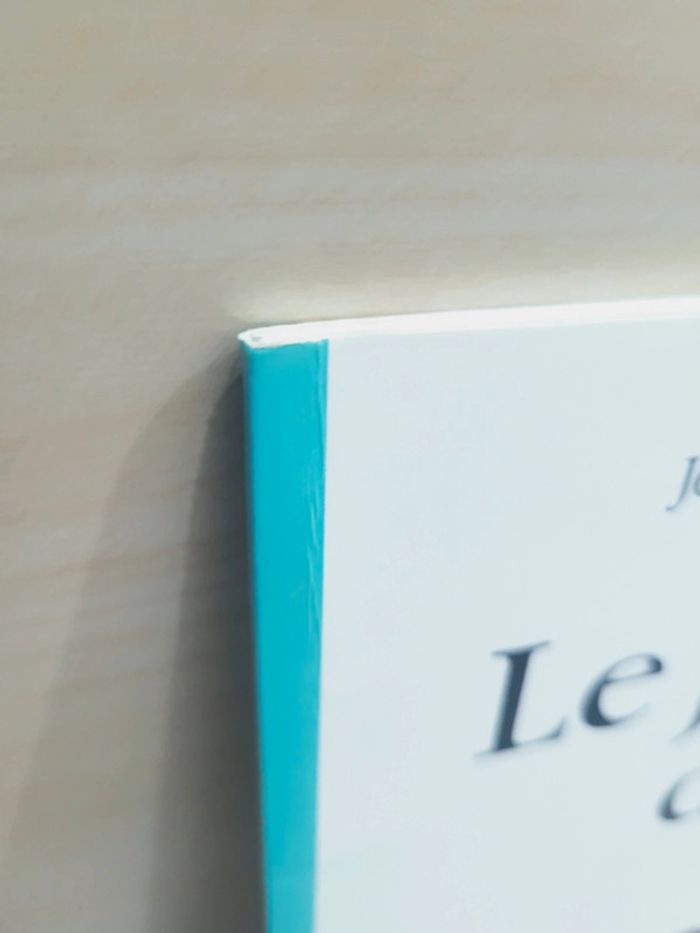 🌺 Livre (école des loisirs) : Le jour du A - photo numéro 7