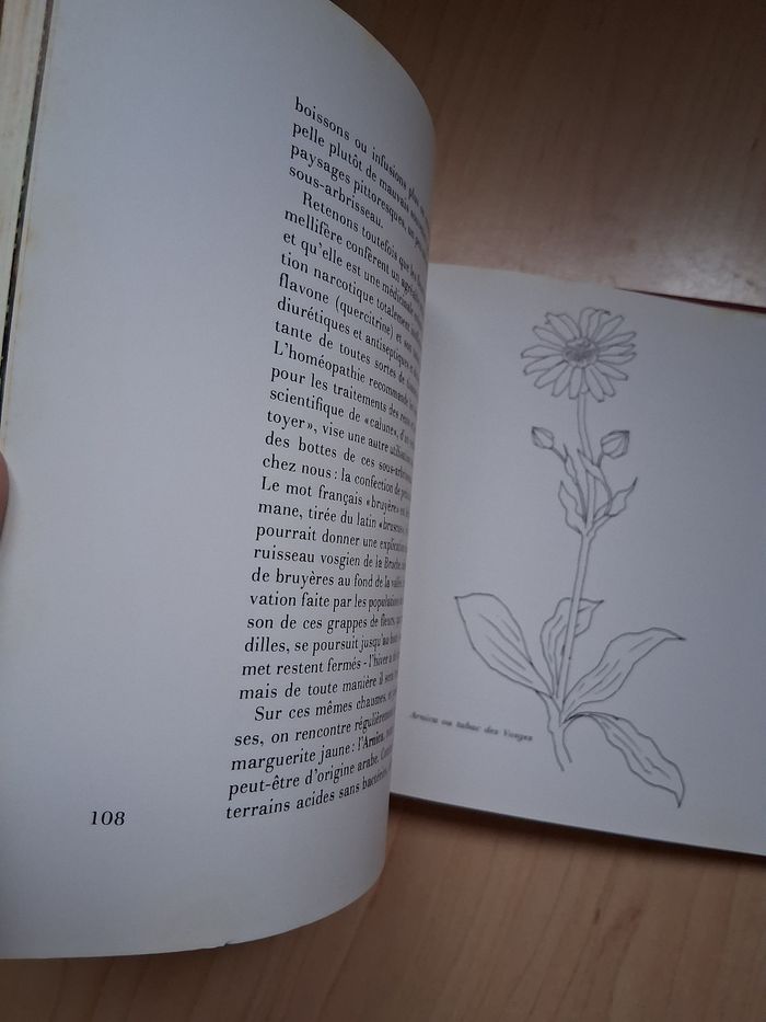 Ancien livre sur les fleurs d'Alsace - photo numéro 8