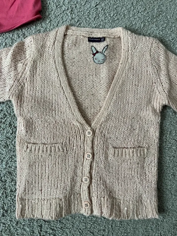 gilets - photo numéro 2