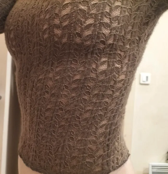 Top court / crop top en dentelle marron-taupe - photo numéro 5