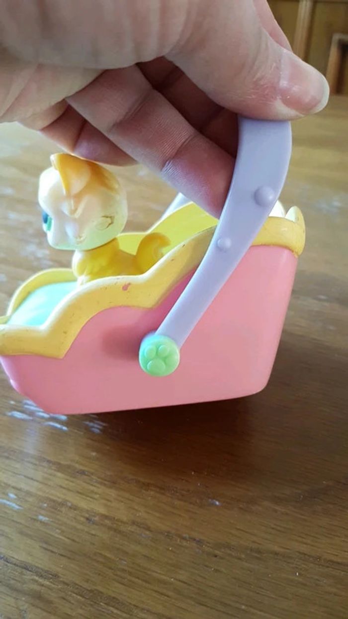 Chat petshop angora qui boit son lait - photo numéro 8