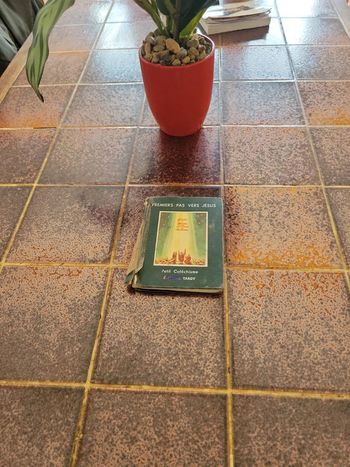 Premiers pas vers Jésus