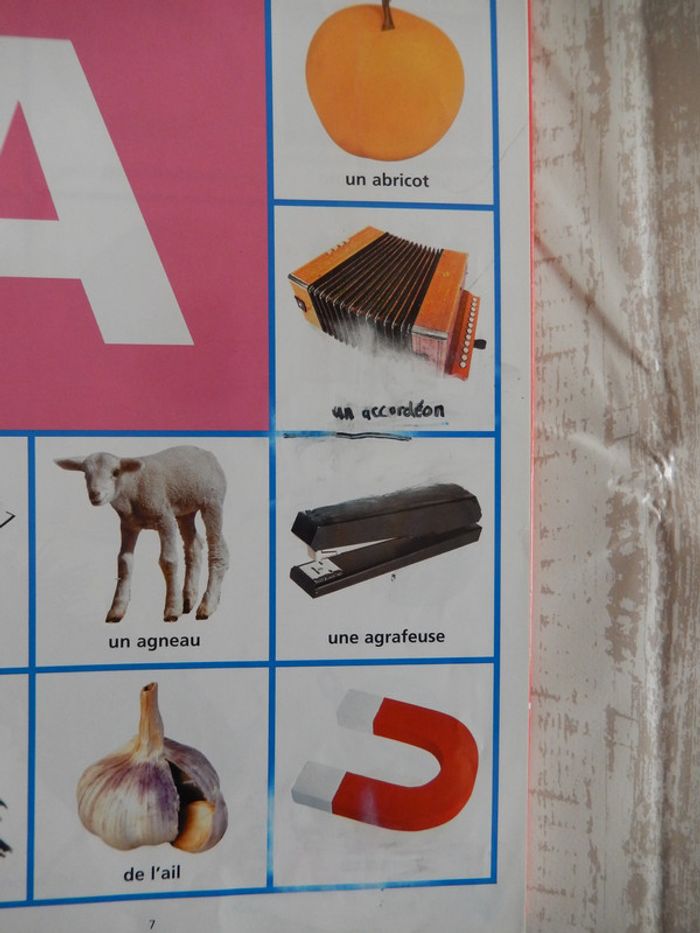 Mon premier Dictionnaire visuel - photo numéro 3