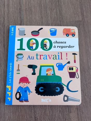 Livre 100 choses à regarder