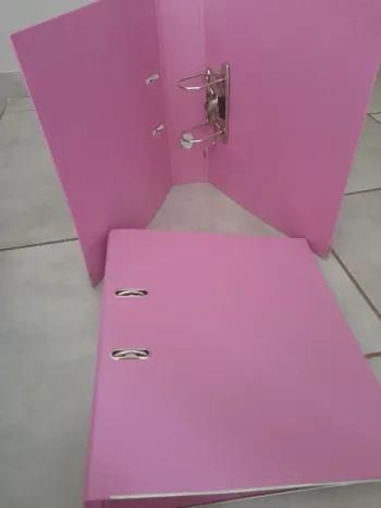 Lit de deux classeurs mauve