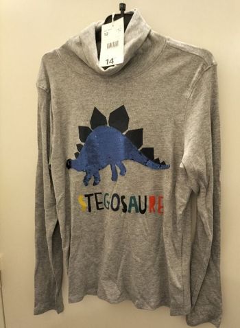 Sous pull 12 ans neuf