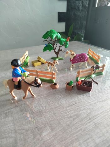 Balade en famille chevaux playmobil