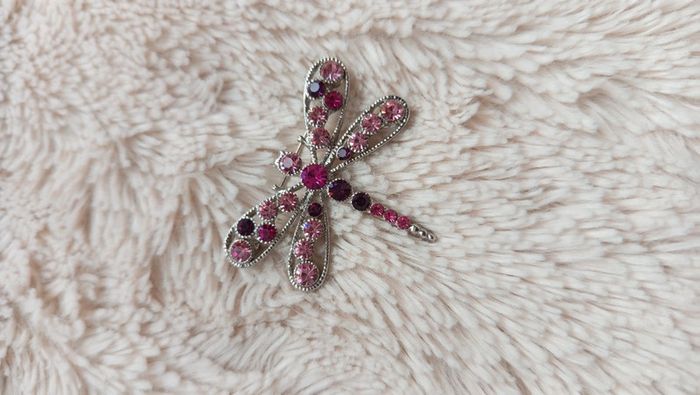 Jolie Broche libellule