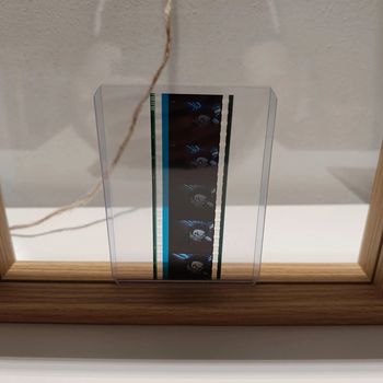 Pellicule démon slayer tanjiro