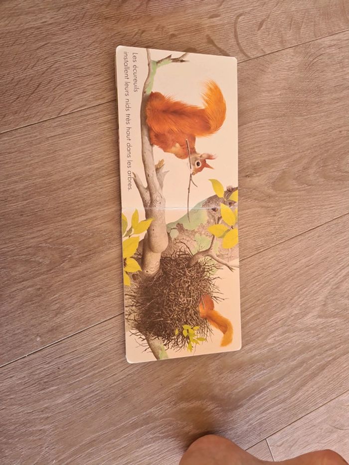 Livre les animaux qui batissent - photo numéro 2