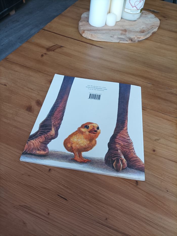 Livre - photo numéro 3