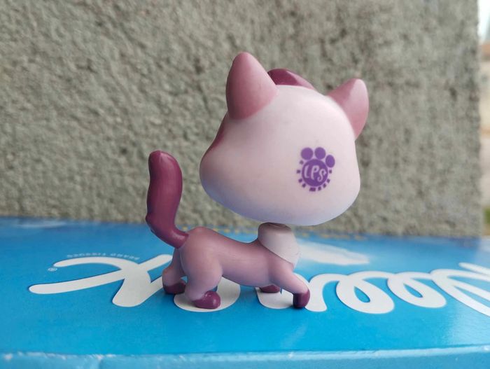 petshop - photo numéro 2