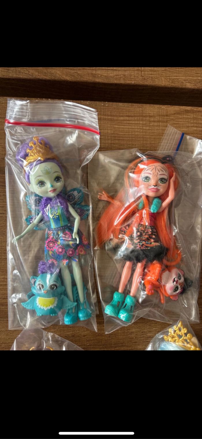 Lot de 6 poupées Enchantimals avec accessoires - photo numéro 2