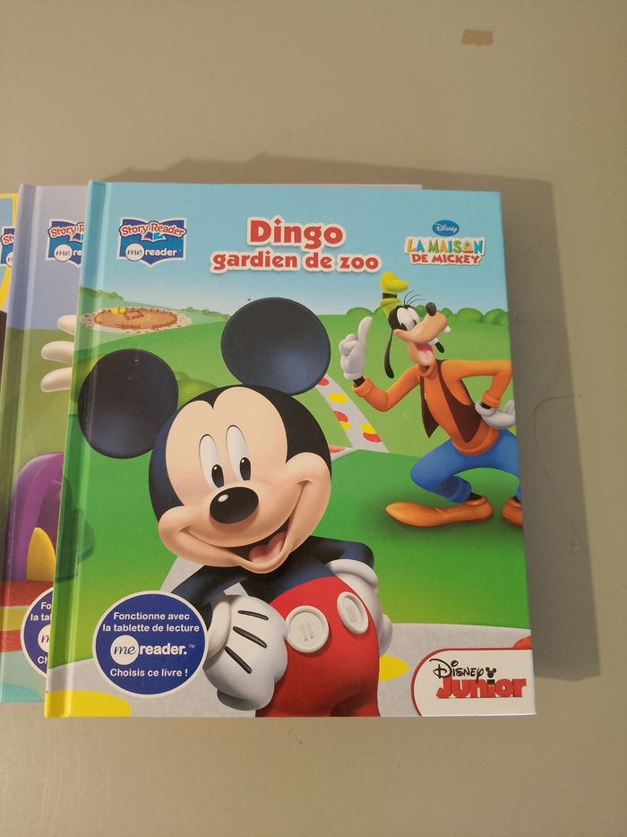 Livre Mickey - photo numéro 3