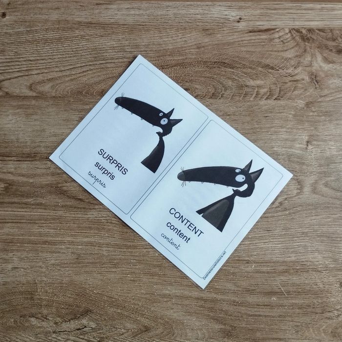 ⭐ Lot de 12 feuilles humeur plastifier Le loup qui #emyfleury_cartes - photo numéro 6