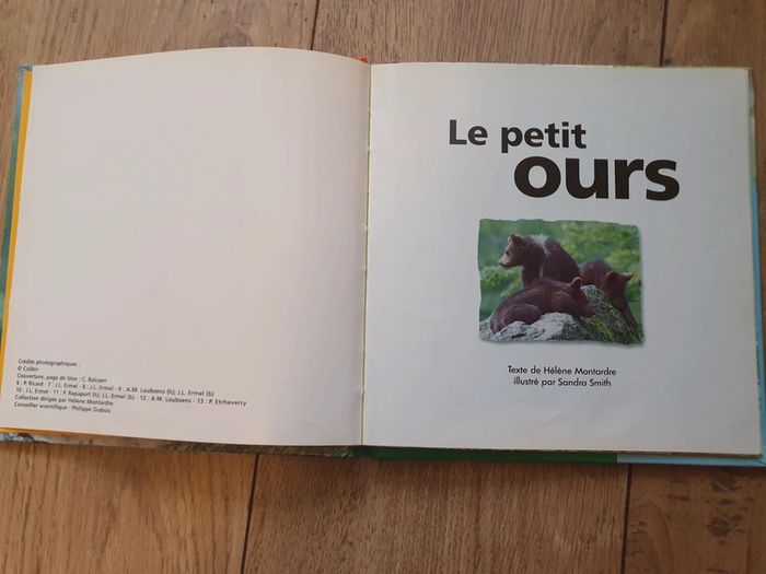Le petit ours et Perdus dans la forêt - photo numéro 6