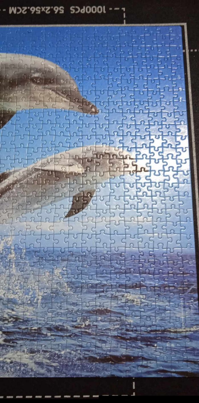 Puzzle Dauphins 🐬 - photo numéro 5