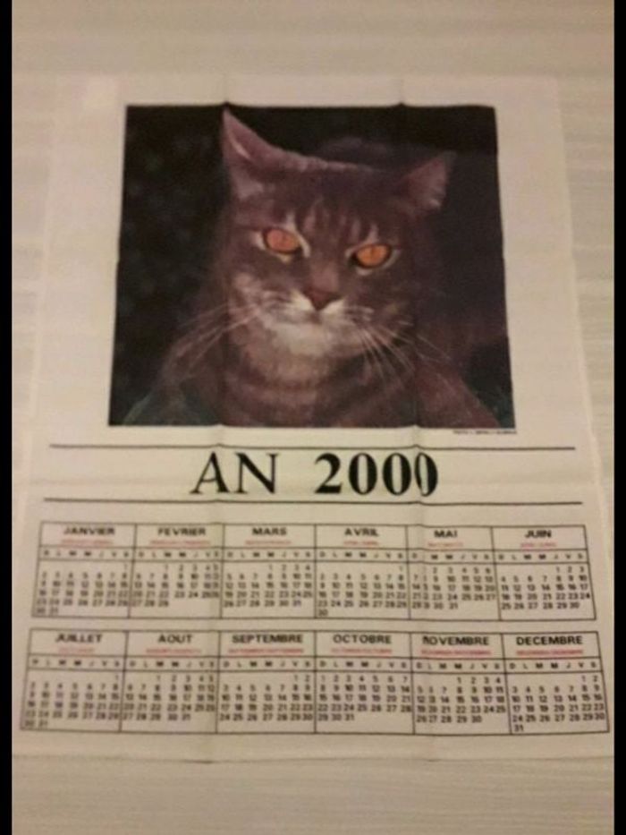 Calendrier tissus année 2000 chat