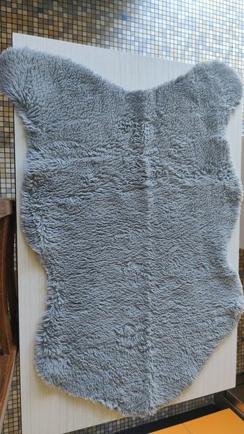 Carpette / petit tapis grise