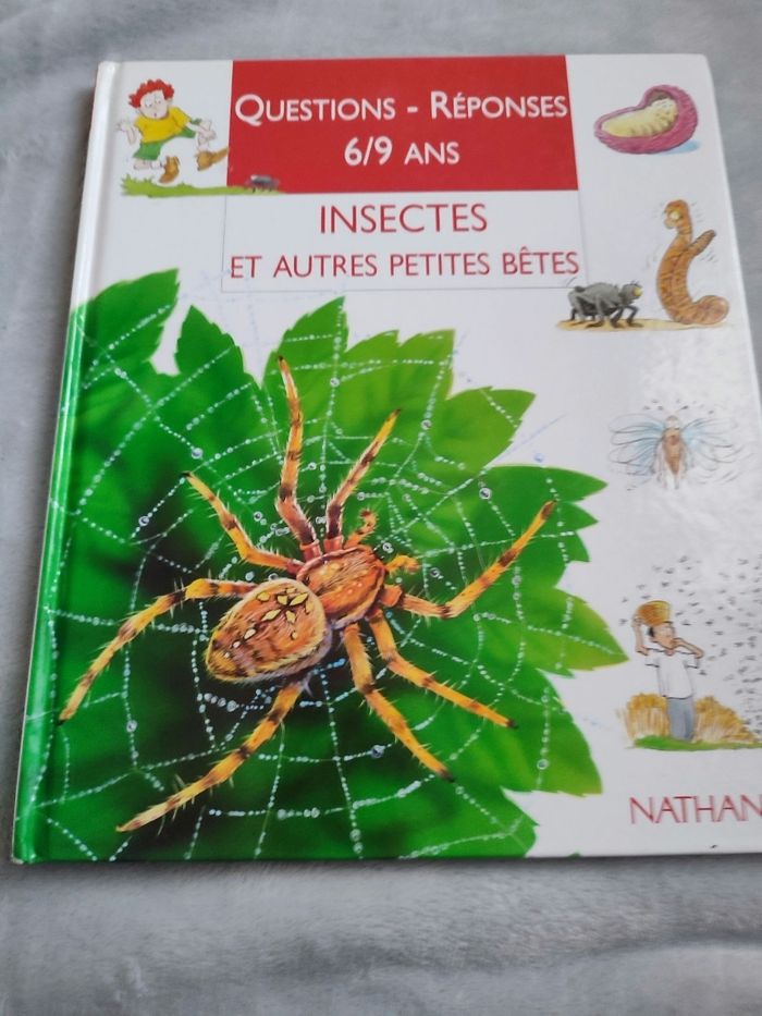 Insectes Questions -Réponses