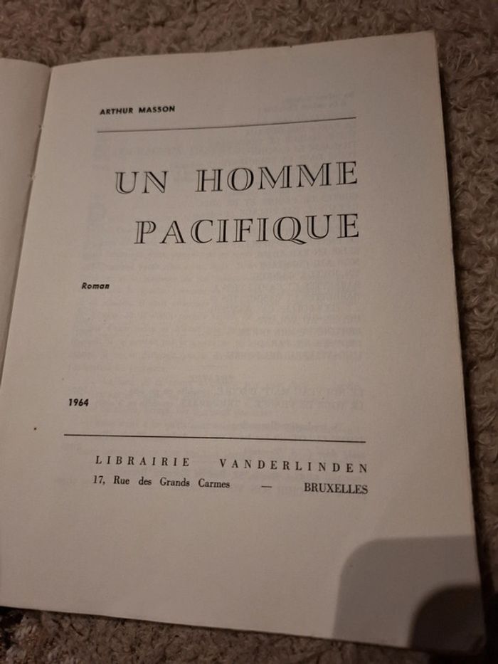 Un homme pacifique - photo numéro 4