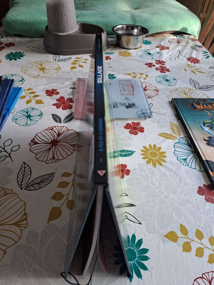Sillage, tome 1, a feu et a cendres - photo numéro 3