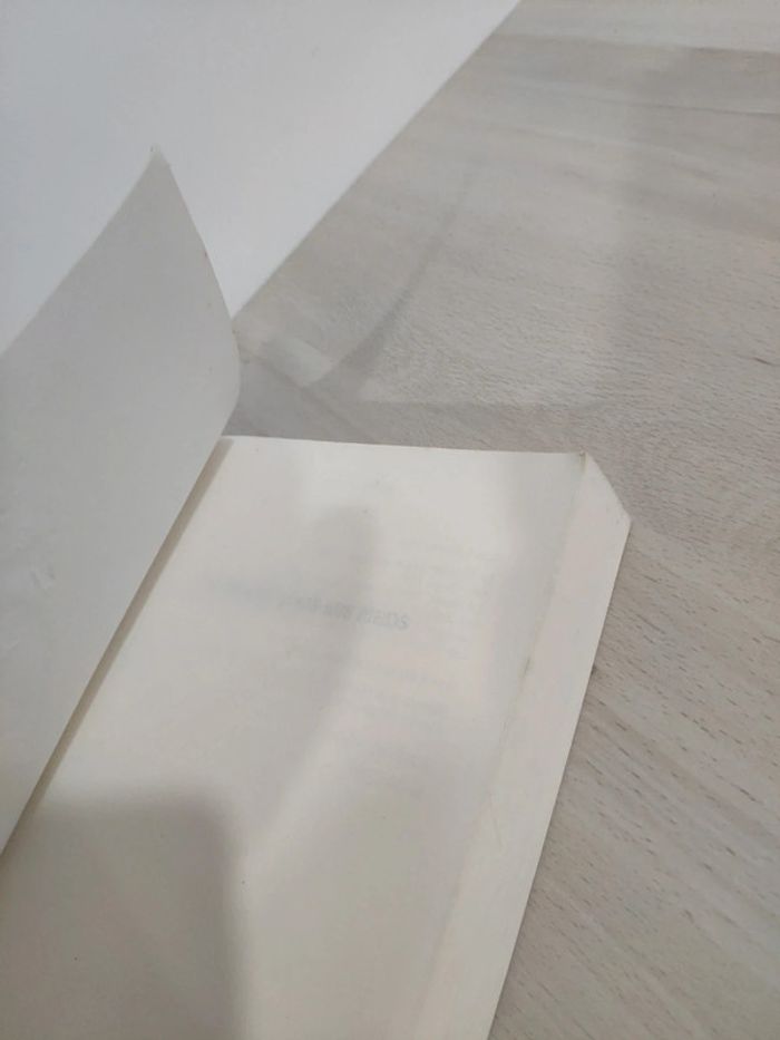 Livre grand format La terre sous ses pieds Salman Rushdie - photo numéro 7