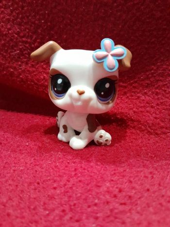 Figurine Petshop A15