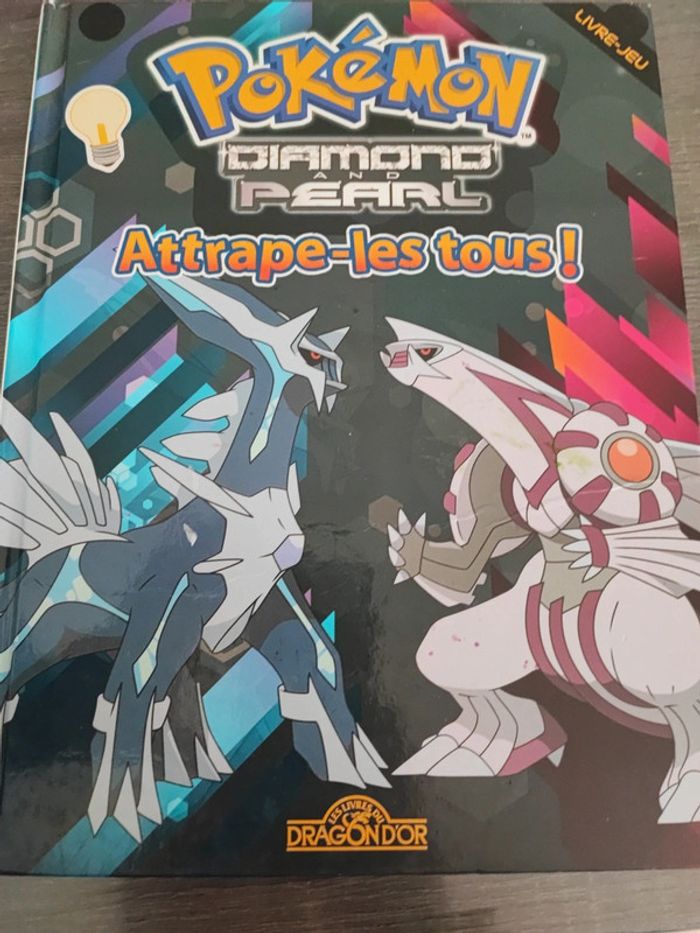 Pokémon livre jeu cherche et trouve
