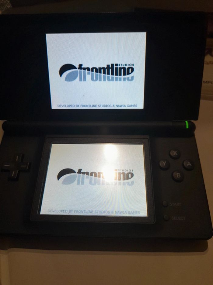 Mon ami le Panda et les animaux du zoo Nintendo DS - photo numéro 15