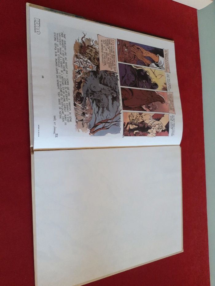 Bd " Le fils du loup " Éric Tetful " éditions Lombard - photo numéro 20