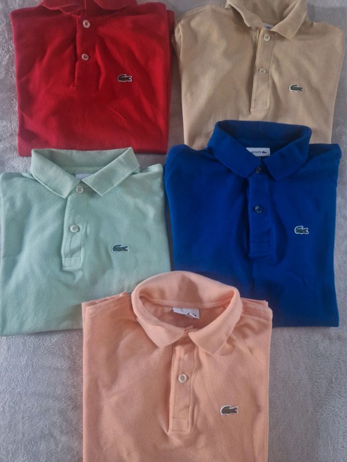 Lot 5 polos garçon 12ans Lacoste